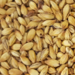 Fresh Grain - Light Crystal Malt per 1kg